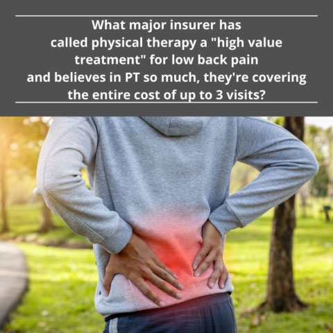 Back pain quote