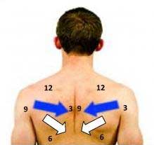 Shoulder points